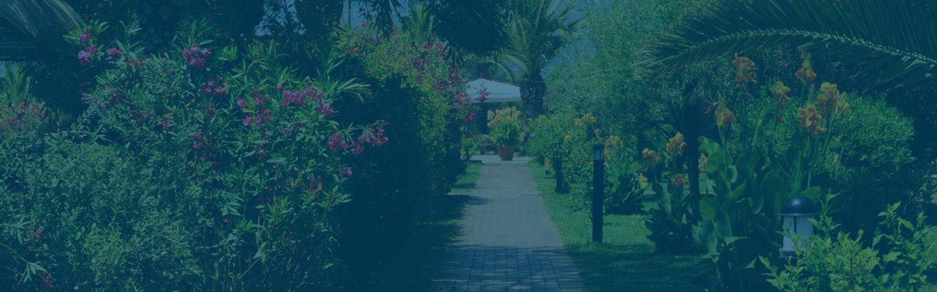 Sentiero giardino con fiori colorati e palme, atmosfera rilassante e verde lussureggiante.