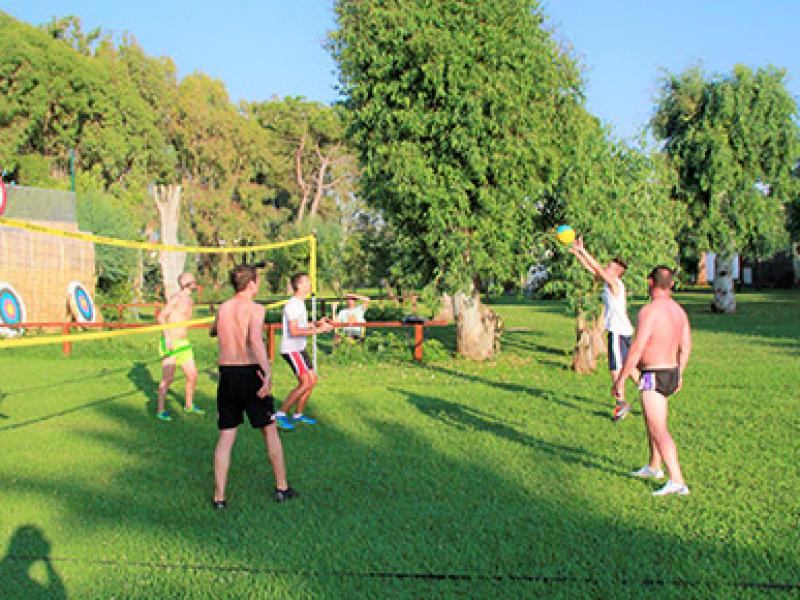 Partita di pallavolo all'aperto tra amici su un prato verde.