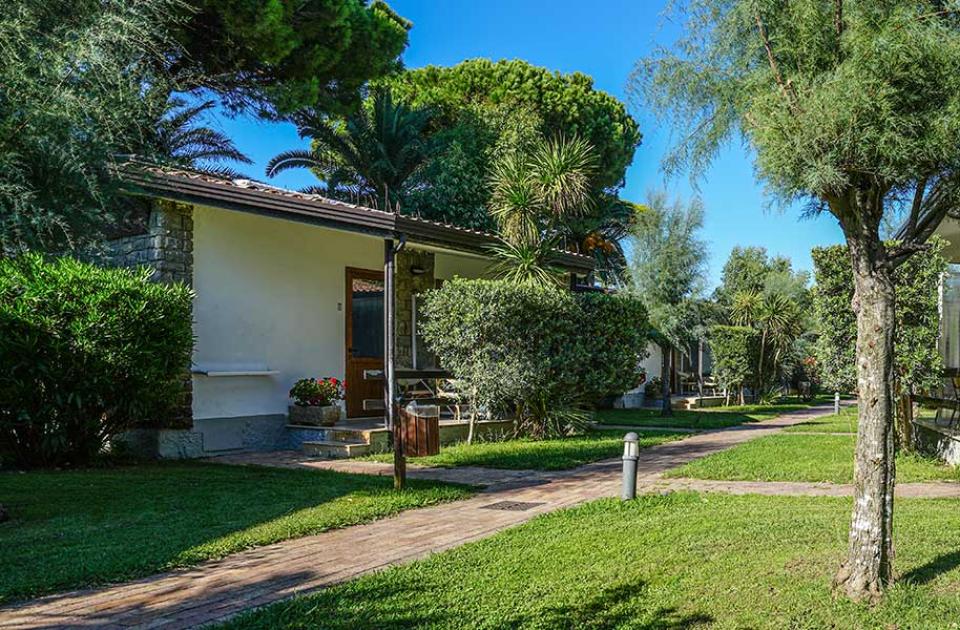 Bungalow immersi nel verde con vialetto, piante e sedie all'aperto.