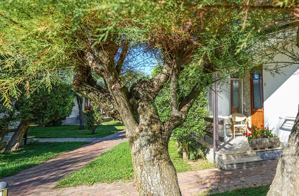 Giardino con alberi, vialetto e veranda di una casa in pietra.