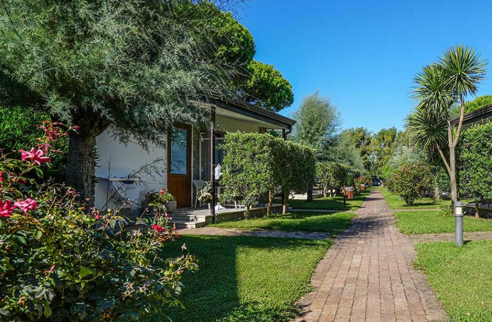 Sentiero tra bungalow immersi nel verde con fiori e alberi rigogliosi.