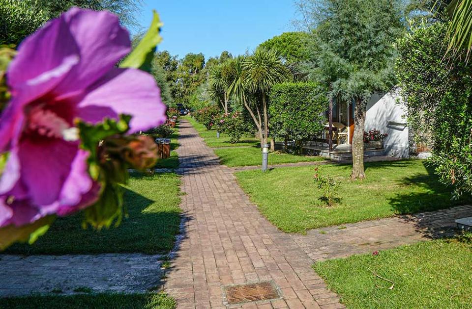 Sentiero di mattoni tra giardini verdi e fiori, con bungalow immersi nella natura.